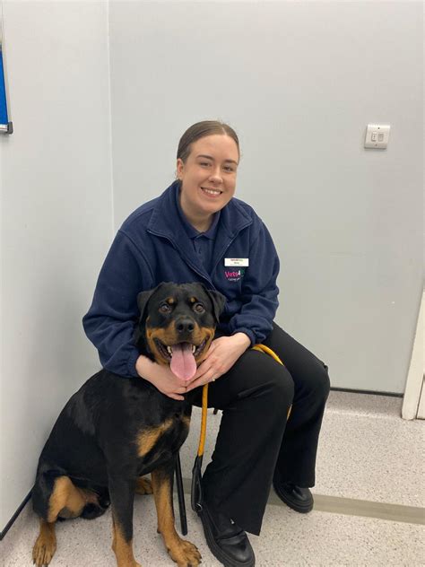 Vets4Pets Rawtenstall .